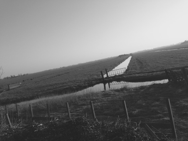 2019 foto aarlanderveen 3 landschap